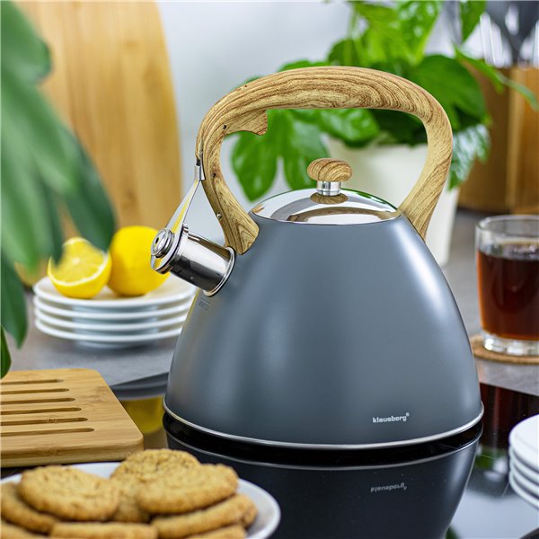 Pískací konvice na indukci Klausberg KB-7550 - 3l - chrom