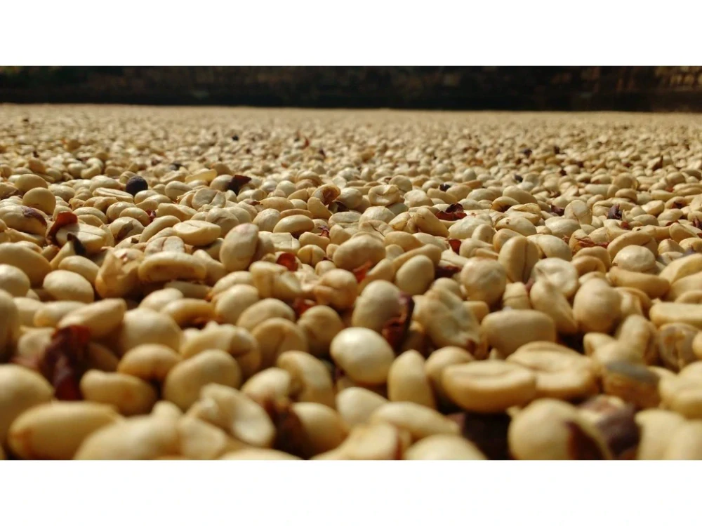 Thailand Suan Ya Luang 1 kg – zrnková káva Arabica & Robusta Blend